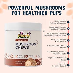 Masticables Blandos con Extracto de Hongo Orgánico Real para Perros, Absorción Rápida, Apoyo Inmunológico, Salud Intestinal, de la Piel, Articular y de la Columna Vertebral, Reishi 2.2g/unidad - Product Image 2