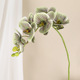 Fleur artificielle en plastique faite à la main, 7 têtes, grande orchidée, décoration de mariage, décoration de la maison, boutique de gâteaux, pâtisserie, Phalaenopsis