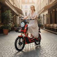 Vélo électrique urbain 500W 48V pour débutant, stable, 2 roues, longue autonomie, haute vitesse, moteur roue arrière, contrôle facile