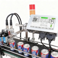 Imprimante de codage à jet d'encre thermique multi-langues DOCOD, OEM/ODM T210E, machine d'impression de codes-barres TIJ pour emballages en plastique