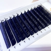 OEM Professional Lash Supplies Private Label Faux Vison Korean Individual Eyelash Extension