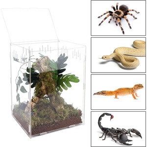 Réservoir d'élevage transparent personnalisé pour reptiles, terrarium, araignée tarentule, boîte d'alimentation, habitat d'insectes pour lézard - Product Image 3