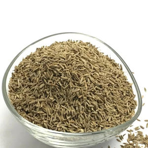 Graines de cumin vert entières aromatiques pour la cuisine, l'assaisonnement et une saveur authentique dans la cuisine traditionnelle et moderne - Product Image 6