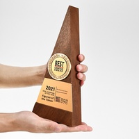 Trophée triangulaire en bois massif de noyer noir, badge personnalisé pièce de monnaie dorée, médaille créative pour employé exceptionnel, récompense personnalisée