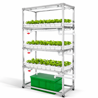 Système hydroponique NFT en aluminium pour herbes aromatiques avec roues, système hydroponique NFT à 3 niveaux pour épinards avec pompe, support NFT