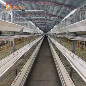 Gabbia Automatica Tipo H a Batteria per Pulcini di Un Giorno, Polli da Carne e Pulcini da Gallina Ovaiole - Product Image 4