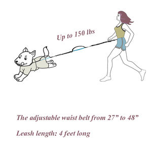 Tali Anjing Bebas Genggam Kustom Tali Anjing Berjalan dan Sabuk Latihan dengan Saku Tali Bungee Penyerap Goncangan dan Pemegang Botol Air - Product Image 6