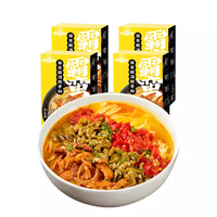 Délicieuse soupe de nouilles instantanées chinoises à cuisson rapide avec nouilles de riz