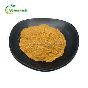 Poudre d'extrait de champignon <span class=keywords><strong>Chanterelle</strong></span> en vrac, poudre d'extrait de mycélium de Cantharellus Cibarius - Product Image 3