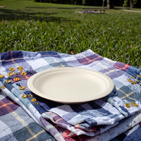 Assiettes jetables de canne à sucre de qualité alimentaire canne à sucre pâte à papier de bambou Bio compostable plat dégradable pour la fête