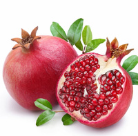 Poudre de grenade soluble dans l'eau, poudre de jus de grenade naturel, fourniture d'usine