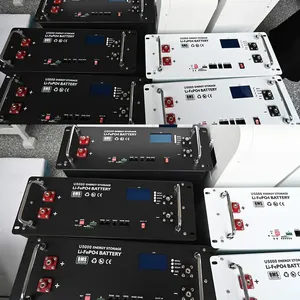 Batterie solaire Lifepo4 pour le stockage d'énergie à domicile <span class=keywords><strong>50AH</strong></span> lithium-ion hors réseau 100AH 12v <span class=keywords><strong>24v</strong></span> 48V 10 ans de fer de qualité industrielle 1 pièce - Product Image 4