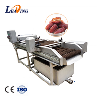 Sdleading Automatische Borsteltype Dadels Fruit Polijstmachine Wassen