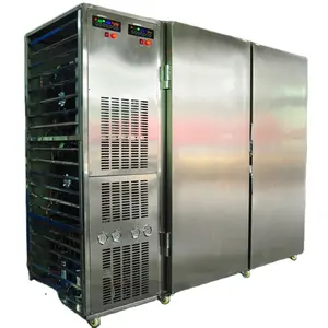 Large blast freezer tunnel blast chiller with the design of 8 trolleys