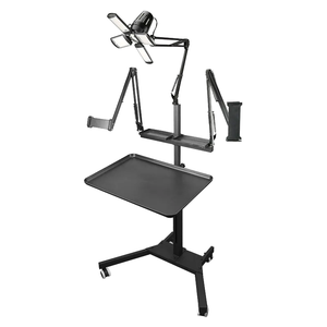 Station <span class=keywords><strong>de</strong></span> travail pour tatouage en acier inoxydable, table <span class=keywords><strong>de</strong></span> tatouage à double support réglable avec plateau et lampe, équipement <span class=keywords><strong>de</strong></span> tatouage multifonctionnel - Product Image 1