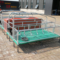 Nouvelles cages de mise bas pour truies en acier galvanisé, équipement agricole, système de plancher 500 mm, enclos de mise bas, grille pour truies 380 kg, 2 truies +30