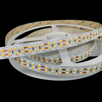 Tira de LED Súper Ancha Personalizable de 2/3/4 Filas, Bajo Voltaje DC12V 24V, Chip LED de Marca SMD2835 3528 5050 Opcional, 3 Años de Garantía