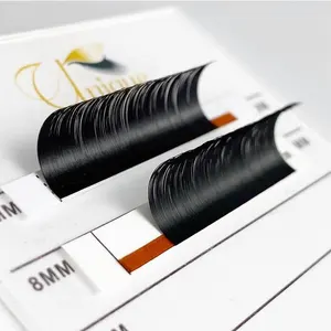 Ciglia individuali all'ingrosso 0.03 0.05 0.07 0.10 0.15 0.18 0.20 0.25mm di spessore estensioni delle ciglia nero opaco Private Label Lash