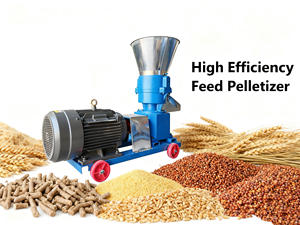 Machine à <span class=keywords><strong>granulés</strong></span> plate portable avec moteur électrique parfaite <span class=keywords><strong>pour</strong></span> la production <span class=keywords><strong>de</strong></span> <span class=keywords><strong>granulés</strong></span> <span class=keywords><strong>de</strong></span> ferme et <span class=keywords><strong>de</strong></span> ferme <span class=keywords><strong>de</strong></span> petit atelier - Product Image 5