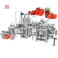 Ligne de production industrielle de concentré de tomate, machine de fabrication de pâte de tomate de petite capacité, ligne de production de ketchup de tomate