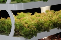 Système de culture hydroponique portable pour jardin d'intérieur décoratif, jardin de légumes à domicile, système de culture d'herbes, 24W avec éclairage de croissance