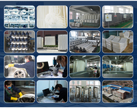Mesin Desalinasi Air Laut Otomatis Sistem Reverse Osmosis 20000L/Jam Unit Pemurnian Air Minum Ro Plant