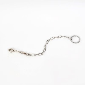 Nuova Catena per Addestramento Piccioni da Esterno, Anello per Caviglia in Acciaio Inox per Pappagalli, 50cm, Ecologico e Sicuro - Product Image 2