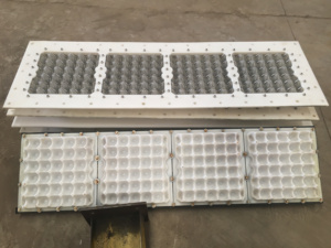 Máquina para Hacer Bandejas de Huevos de Pequeña Capacidad, Precio Económico, Maquinaria Zengtuo ZT-4*4, Nueva Idea de Negocio <span class=keywords><strong>2026</strong></span> - Product Image 1