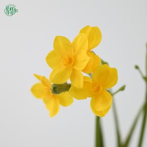 <span class=keywords><strong>Fleur</strong></span> <span class=keywords><strong>de</strong></span> narcisse artificielle en soie <span class=keywords><strong>de</strong></span> 43 cm, design à 4 têtes, vente en gros directe d'usine pour une décoration <span class=keywords><strong>de</strong></span> table élégante, décoration <span class=keywords><strong>de</strong></span> maison et <span class=keywords><strong>de</strong></span> bureau - Product Image 3