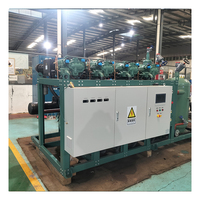 Unité de réfrigération de fabrication chinoise 200HP 400HP 600HP Compresseur à vis pour l'ammoniac Froid pour l'agriculture ou la congélation des fruits de mer