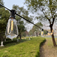 25ft 25 pcs Vintage LED Ampoules 2700k Blanc Chaud 110V US/220V EU Plug Extérieur Patio Led ST38 Guirlandes Lumineuses