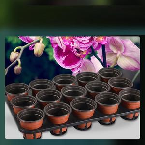 Bandeja <span class=keywords><strong>de</strong></span> Plástico para Plántulas <span class=keywords><strong>de</strong></span> Orquídeas <span class=keywords><strong>Phalaenopsis</strong></span> con 12/15 Agujeros, Kit <span class=keywords><strong>de</strong></span> Celdas <span class=keywords><strong>de</strong></span> Cultivo para Plantas <span class=keywords><strong>de</strong></span> Flores, para Invernadero, Jardín o Vivero - Product Image 6