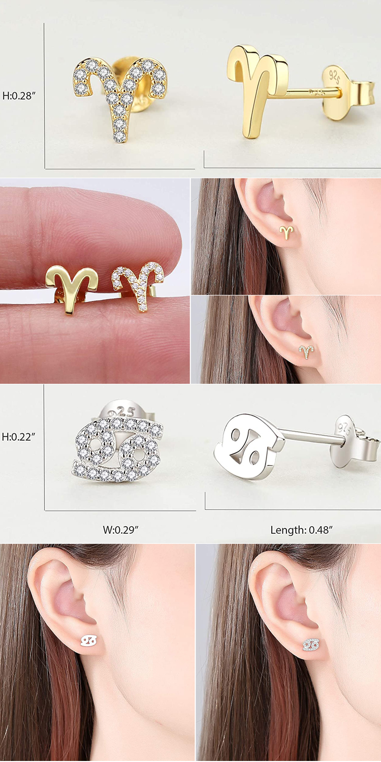 korean girl birthday gift earrings jewelry custom small 925 sterling silver cz 12 zodiac sign stud earring