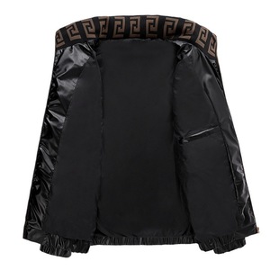 Mùa Đông <span class=keywords><strong>2025</strong></span> Người Đàn Ông Mới Của Thời Trang Giải Trí Thường Xuyên Chiều Dài Đứng Cổ Áo Xuống Áo Khoác Với Dây Kéo Tiêu Chuẩn Quốc Gia 50 Vịt Những Người Yêu Thích - Product Image 5