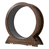 Roue de course moderne pour chat en bois massif, tapis de fitness antidérapant, mobilier d'exercice pour chat d'intérieur