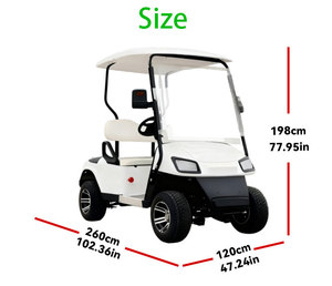 Giá thấp 2 CHỖ NGỒI 3000W động cơ tùy chỉnh màu sắc nhẹ điện Golf cart'for Scenic Spot - Product Image 3