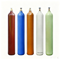 Bouteille de gaz argon 40L, réservoir sous pression en acier sans soudure haute pression pour le stockage d'oxygène, d'hydrogène et d'azote