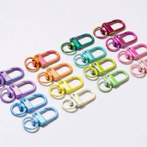Colorful Spring Zinc Alloy Snap Hook with UV Finish-Eco-Friendly Custom Keychain Clips for DIY Projects and Accessories - Product Image 3