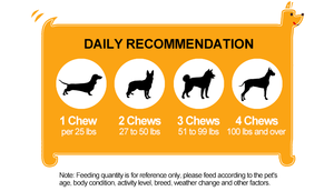 Hanyun Hondenallergie Verlichting Kauwt Hond Jeukende Huidverlichtingssupplementen Met Omeaga 3 Zalmolie Quercetine Immuunondersteuningssupplement - Product Image 4