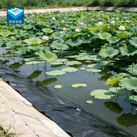 Géomembrane HDPE texturée double face fiable pour applications en bassins piscicoles, fermes d'élevage de crevettes et décharges – Écologique, épaisseur 1,0 mm