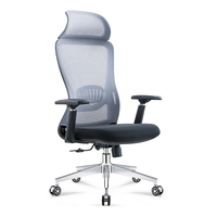 Chaise de bureau ergonomique en maille avec soutien lombaire, chaise pivotante réglable pour le bureau à domicile