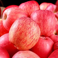 Pommes Fuji rouges de gala royal chinois Pommes Fuji rouges de gala royal frais
