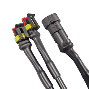 Kunden spezifisches <span class=keywords><strong>AMP</strong></span> 1.5 2p Automotive Water proof <span class=keywords><strong>Connector</strong></span> Stecker Buchse Anschluss kabel - Product Image 4