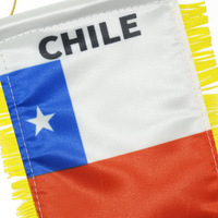 Mini rétroviseur personnalisé de haute qualité et bon marché, fanion de voiture du Chili, mini drapeau