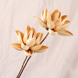 C269 Nhiếp Ảnh Trang Chủ Trang Trí Hoa Schima Superba Hoa Thật Khô Tự Nhiên Trung Quốc Redbud Để Bán - Product Image 5