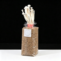 Sacs de culture de champignons réutilisables en PP haute résistance, grande taille, résistants aux hautes températures, sacs filtrants pour la mycéliation
