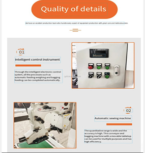 Máquina Automática de Bajo Precio para Envasado de Cemento en Polvo para Fertilizantes Minerales - Product Image 4
