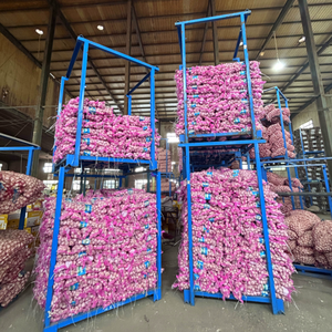 Оптовая продажа премиум качества новые свежие овощи чеснок с дешевой ценой - Product Image 2