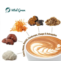 Fabricant de poudre de café Reishi Lions Mane Chaga 10 Champignons Biologique de marque privée