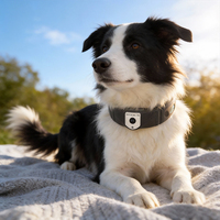 Localisateur d'animaux de compagnie étanche 4G, traceur anti-perte sans fil pour chien, traceur GPS Beidou pour chat avec lumière et son pour retrouver les animaux perdus